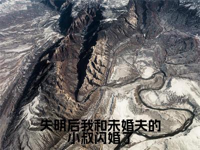 失明后我和未婚夫的小叔闪婚了阅读无弹窗大结局_（宋时微陆渊阅读无弹窗）最新章节列表_笔趣阁（宋时微陆渊）