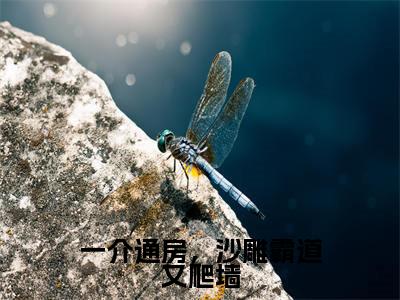 一介通房，沙雕霸道又爬墙（稗稗）小说全文-一介通房，沙雕霸道又爬墙小说免费阅读大结局