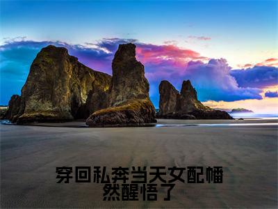 沈湛苏晴（穿回私奔当天女配幡然醒悟了）全文免费阅读无弹窗-穿回私奔当天女配幡然醒悟了完整版全文在线赏析