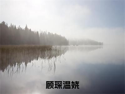 顾琛温娆（温娆顾琛）全文免费阅读-（温娆顾琛小说）顾琛温娆最新章节列表