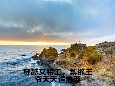 热门小说慕容皓林云熙全文免费阅读无弹窗大结局-穿越女特工，禁欲王爷天天追着宠全文无弹窗免费阅读大结局