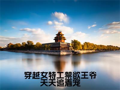 穿越女特工禁欲王爷天天追着宠小说慕容皓林云熙无弹窗免费阅读-最新小说穿越女特工禁欲王爷天天追着宠（慕容皓林云熙）全文阅读