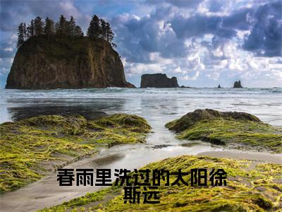 周言徐斯远长篇免费小说，春雨里洗过的太阳徐斯远最新章节在线阅读