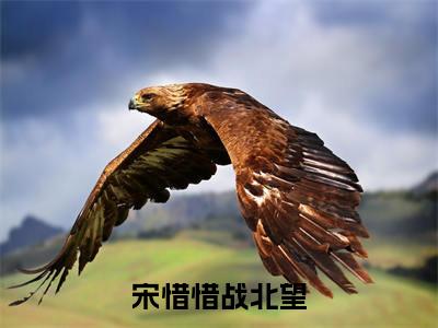 宋惜惜战北望（宋惜惜战北望）热门免费小说-宋惜惜战北望（宋惜惜战北望）精彩小说全文赏析
