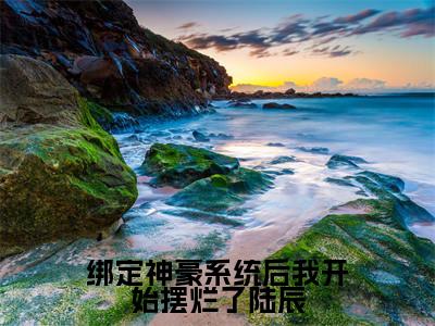 绑定神豪系统后我开始摆烂了陆辰（陆辰）全文免费阅读无弹窗大结局_绑定神豪系统后我开始摆烂了陆辰小说最新章节列表_笔趣阁