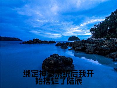 陆辰是什么小说-小说绑定神豪系统后我开始摆烂了陆辰全文阅读