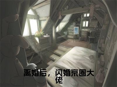 离婚后，闪婚京圈大佬（大结局小说全集完整版）陆景深姜晚柠小说_离婚后，闪婚京圈大佬全文阅读笔趣阁