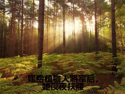 嫁给植物人将军后，她夜夜扶腰小说全文免费阅读无弹窗大结局_（嫁给植物人将军后，她夜夜扶腰）司宁陆寒骁最新章节列表笔趣阁