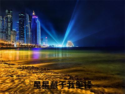 主角为袁清雾钟思衡的小说精彩阅读-星星藏于我笔锋最新章节阅读