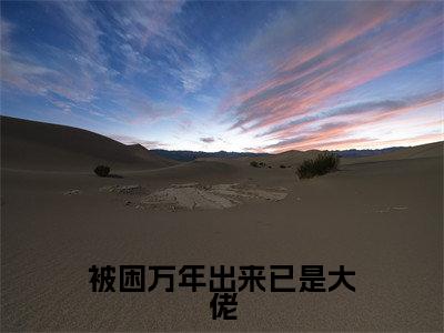 被困万年出来已是大佬（程君意）全文免费阅读无弹窗大结局_程君意小说全文无弹窗