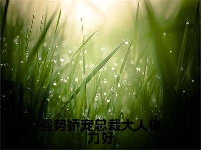 时星璨秦阎漠小说全文-强势娇宠总裁大人体力好精选小说时星璨秦阎漠大结局阅读