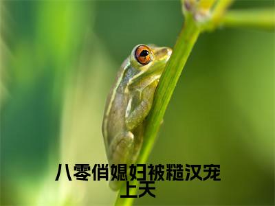 八零俏媳妇被糙汉宠上天（周野温暖）全文免费阅读无弹窗_周野温暖小说_笔趣阁