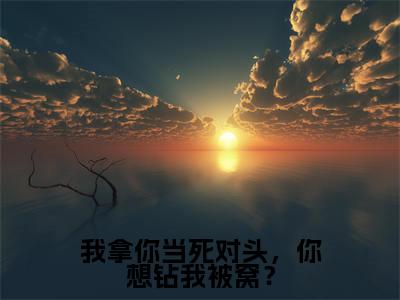 我拿你当死对头，你想钻我被窝？（沈妄江晚念）全文免费阅读无弹窗_沈妄江晚念最新小说_笔趣阁