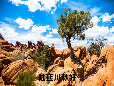 陆延川秋好（陆延川秋好）免费阅读完整版-（陆延川秋好小说）陆延川秋好全文大结局已完结