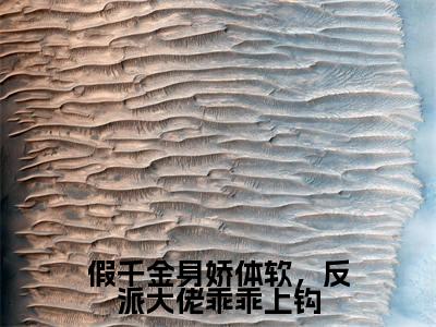 苏云笙陆清宴（完整版）热文小说阅读-苏云笙陆清宴全文抖音热推