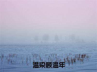 温染顾温年全文免费阅读无弹窗大结局_（温染顾温年）温染顾温年小说免费阅读完整版全文大结局