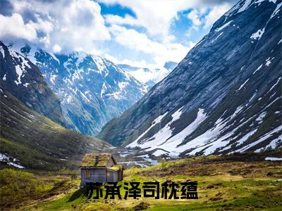 （司枕蕴苏承泽小说完整版）苏承泽司枕蕴全文免费阅读-（苏承泽司枕蕴）司枕蕴苏承泽小说最新章节列表