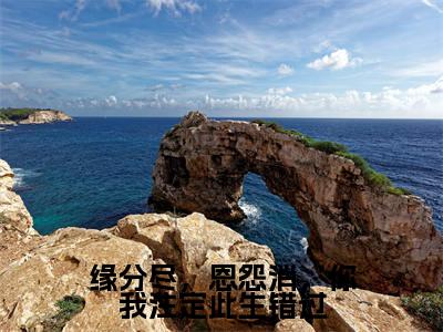 缘分尽，恩怨消，你我注定此生错过小说精彩章节今日阅读更新-（孟希栀谢珩屿小说）免费阅读小说全文