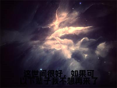 这世间很好，如果可以下辈子我不想再来了（纪暖谢言昭）全文免费阅读无弹窗大结局_（纪暖谢言昭小说免费阅读）_笔趣阁