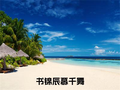 书锦辰慕千舞（慕千舞书锦辰）全文免费在线阅读_书锦辰慕千舞全文免费阅读无弹窗大结局