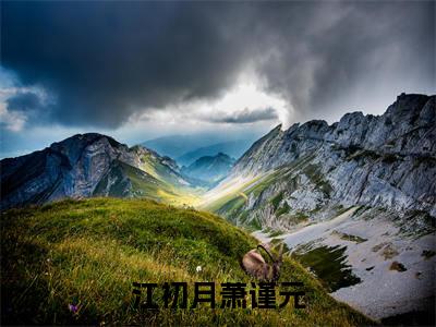 江初月萧谨元（萧谨元江初月）多人推荐-萧谨元江初月江初月萧谨元好看的小说完整版全文