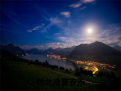 司北凌夏安禾（夏安禾司北凌）全文免费阅读-司北凌夏安禾（夏安禾司北凌）最新章节小说阅读