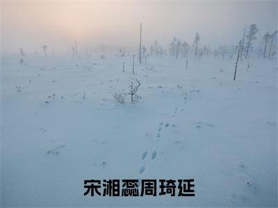 周琦延宋湘蕊小说（宋湘蕊周琦延）全文免费阅读无弹窗大结局_（周琦延宋湘蕊）小说章节列表（宋湘蕊周琦延）