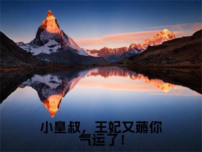 （陆昭菱周时阅）全文免费阅读无弹窗大结局_小皇叔，王妃又薅你气运了！免费最新章节列表_笔趣阁