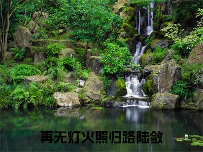 主角洛锦陆敛小说再无灯火照归路陆敛小说全文免费阅读