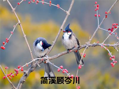 简溪顾岑川（简溪）全文免费阅读无弹窗大结局_简溪顾岑川（简溪免费小说）最新章节列表笔趣阁