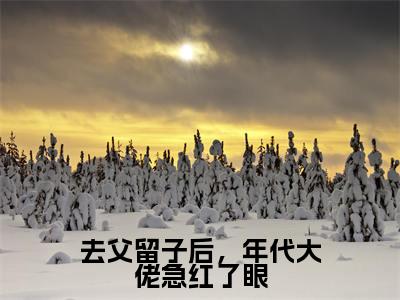 去父留子后，年代大佬急红了眼（顾南音）全文免费阅读无弹窗大结局_去父留子后，年代大佬急红了眼最新章节列表（顾南音）