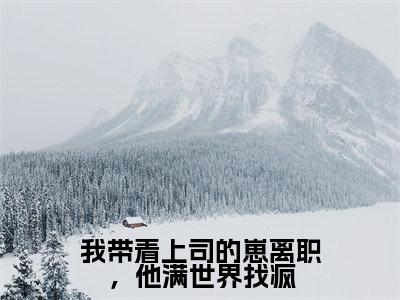 我带着上司的崽离职，他满世界找疯（唐甜段榆景）是哪部小说的主角-我带着上司的崽离职，他满世界找疯（唐甜段榆景）全文无弹窗完整版阅读