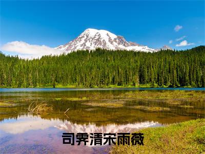 司霁清宋雨薇（司霁清宋雨薇全章节完整版）免费阅读_（司霁清宋雨薇）司霁清宋雨薇全文无删减免费阅读