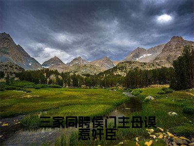 主角是东陵厌薛非暮的小说（三家同聘侯门主母误惹奸臣）-（三家同聘侯门主母误惹奸臣）东陵厌薛非暮全文免费阅读无弹窗大结局笔趣阁
