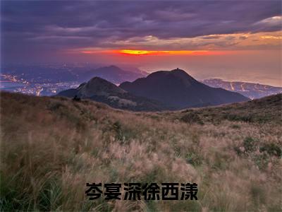 岑宴深徐西漾（徐西漾岑宴深全文免费大结局）在线阅读-徐西漾岑宴深全文无删减免费赏析