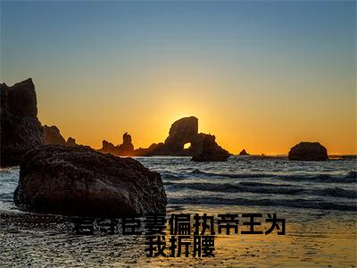 君夺臣妻偏执帝王为我折腰已完结小说全集阅读（柳如眉完整版大结局）君夺臣妻偏执帝王为我折腰小说全文阅读笔趣阁