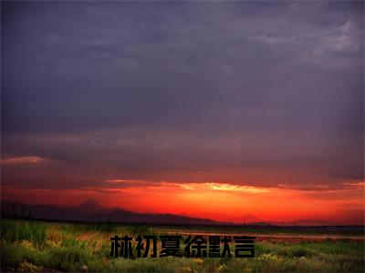 林初夏徐默言抖音新书热荐林初夏徐默言-最新小说林初夏徐默言全文阅读