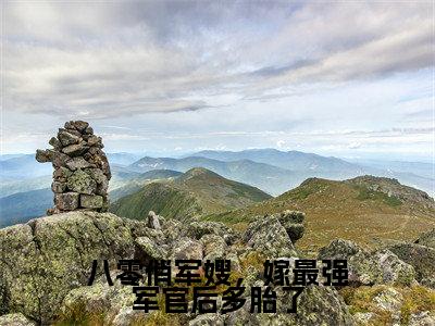 八零俏军嫂，嫁最强军官后多胎了小说全文（唐雪陆秉舟）全文免费阅读无弹窗大结局_八零俏军嫂，嫁最强军官后多胎了小说全文最新章节列表