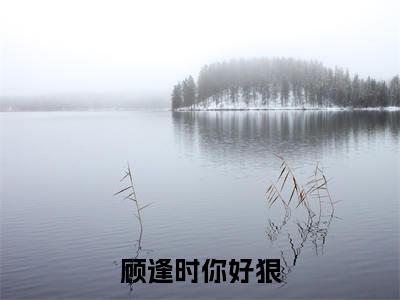 顾逢时你好狠（陆久年顾逢时）全文免费阅读_陆久年顾逢时（顾逢时你好狠）最新章节列表笔趣阁