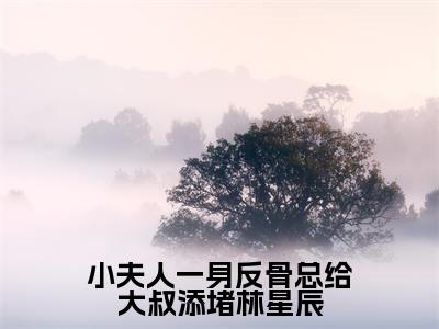 小夫人一身反骨总给大叔添堵林星辰小说（林星辰霍执）全文免费阅读无弹窗大结局_（林星辰霍执）小夫人一身反骨总给大叔添堵林星辰小说无弹窗精彩阅读_笔趣阁