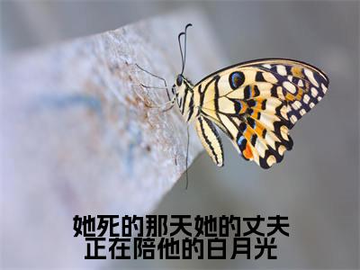 姜尔凌钦淮小说（她死的那天她的丈夫正在陪他的白月光）全文免费阅读无弹窗大结局_她死的那天她的丈夫正在陪他的白月光最新章节列表_笔趣阁（姜尔凌钦淮）