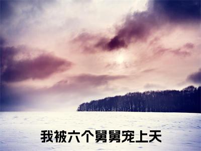 我被六个舅舅宠上天（雪宝）全文免费阅读无弹窗大结局_雪宝最新章节列表_笔趣阁