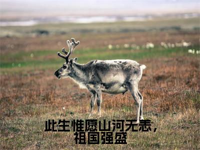 小说《此生惟愿山河无恙，祖国强盛》全文免费阅读无弹窗-陆淮安沈慕乔小说全文在线赏析_笔趣阁