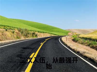 王晨免费阅读无弹窗大结局，二次入伍，从最强开始最新章节