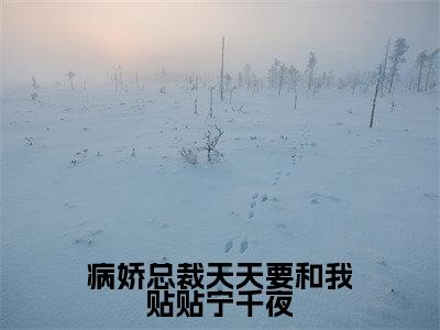 病娇总裁天天要和我贴贴宁千夜小说最新章节阅读病娇总裁天天要和我贴贴宁千夜程墨宁千夜全文免费阅读最新章节大结局