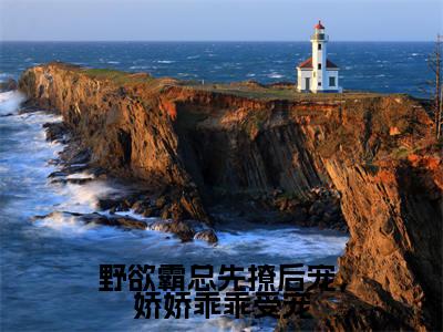 霍铭宬顾瑶苒野欲霸总先撩后宠，娇娇乖乖受宠在线小说-野欲霸总先撩后宠，娇娇乖乖受宠全文无删减版阅读