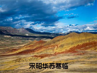 苏寒临宋昭华（宋昭华苏寒临）全文免费阅读无弹窗大结局_（宋昭华苏寒临小说免费阅读）_笔趣阁