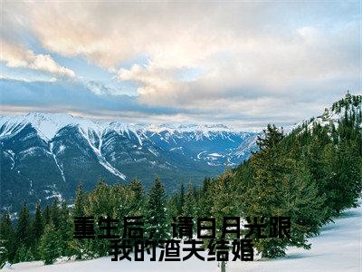 时泱厉南驰（重生后，请白月光跟我的渣夫结婚）全文免费读无弹窗大结局_时泱厉南驰免费时泱厉南驰读无弹窗最新章节列表_笔趣阁