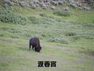 姜念（渡春宵）全文免费阅读无弹窗大结局_渡春宵_笔趣阁