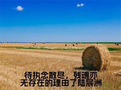 待执念散尽，残魂亦无存在的理由了陆宸洲（陆宸洲黎沐晚）小说全文免费阅读完整版-待执念散尽，残魂亦无存在的理由了陆宸洲免费在线阅读大结局（陆宸洲黎沐晚）